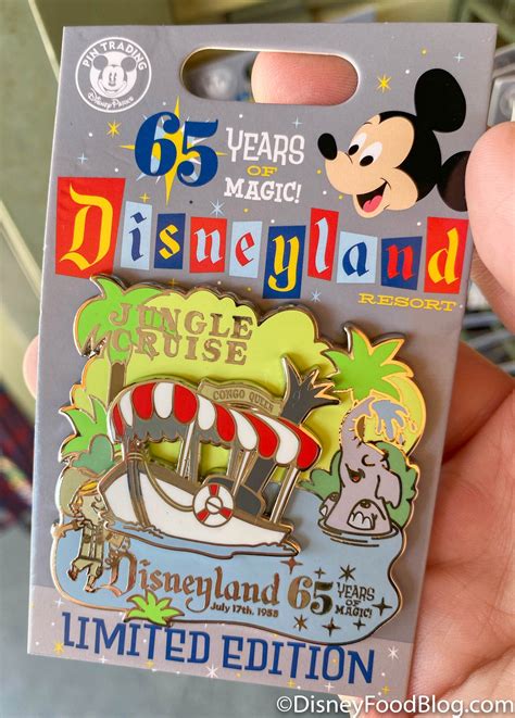 Disneyland Magic Key Magnets: The Perfect Souvenir for Park Hoppers